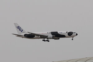 date：2010-02-10;
location：Beijing Capital Intl Airport - ZBAA;
airline：All Nippon Airways - ANA;
registration：JA606A;
aircraft：B767-300ER;
remark：Fly Panda Livery
