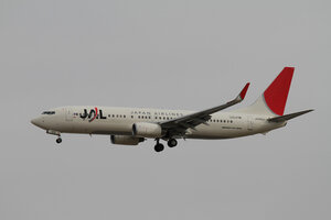 date：2010-02-10;
location：Beijing Capital Intl Airport - ZBAA;
airline：Japan Airlines - JAL;
registration：JA320J;
aircraft：B737-800