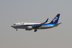 date：2010-02-19;
location：Beijing Capital Intl Airport - ZBAA;
airline：All Nippon Airways - ANA;
registration：JA04AN;
aircraft：B737-700