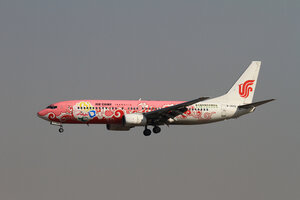 date：2010-02-19;
location：Beijing Capital Intl Airport - ZBAA;
airline：Air China - CCA;
registration：B-2642;
aircraft：B737-800;
remark：The 7th China Flower Expo Livery(牡丹花博会号)