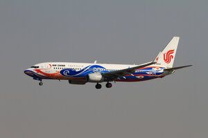 date：2010-02-19;
location：Beijing Capital Intl Airport - ZBAA;
airline：Air China - CCA;
registration：B-5422;
aircraft：B737-800;
remark：Phoenix Livery(凤凰号)