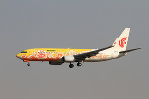 date：2010-02-19;
location：Beijing Capital Intl Airport - ZBAA;
airline：Air China - CCA;
registration：B-5198;
aircraft：B737-800;
remark：Yello Peony Livery(黄牡丹号)
