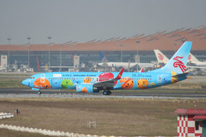 date：2011-10-06;
location：Beijing Capital Intl Airport - ZBAA;
airline：Shenzhen Airlines - CSZ;
registration：B-5606;
aircraft：B737-800;
remark：The 26th Summer Universiad Livery(大运号)