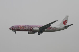 date：2012-08-11;
location：Beijing Capital Intl Airport - ZBAA;
airline：B-5177 - B-5177;
registration：B737-800;
aircraft：Purple Peony Livery(紫牡丹号)