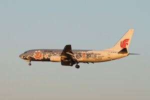 date：2013-01-03;
location：Beijing Capital Intl Airport - ZBAA;
airline：Air China - CCA;
registration：B-5178;
aircraft：B737-800;
remark：Grey Peony Livery(灰牡丹号)