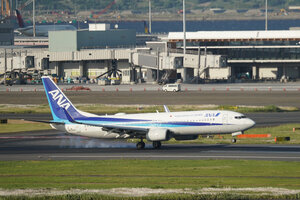 date：2026-05-11;
location：Tokyo Haneda Intl Airport - RJTT;
airline：All Nippon Airways - ANA;
registration：JA55AN;
aircraft：B737-800