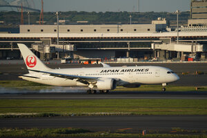 date：2026-05-11;
location：Tokyo Haneda Intl Airport - RJTT;
airline：Japan Airlines - JAL;
registration：JA848J;
aircraft：B787-8