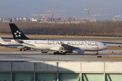 date：2010-02-03location：Beijing Capital Intl Airport - ZBAAairline：Air China - CCAregistration：B-6093aircraft：A330-200remark：Star Alliance Livery