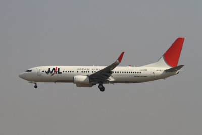 date：2010-02-19location：Beijing Capital Intl Airport - ZBAAairline：Japan Airlines - JALregistration：JA312Jaircraft：B737-800