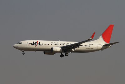 date：2010-02-19location：Beijing Capital Intl Airport - ZBAAairline：Japan Airlines - JALregistration：JA315Jaircraft：B737-800