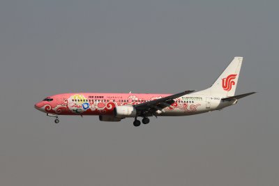 date：2010-02-19location：Beijing Capital Intl Airport - ZBAAairline：Air China - CCAregistration：B-2642aircraft：B737-800remark：The 7th China Flower Expo Livery(牡丹花博会号)