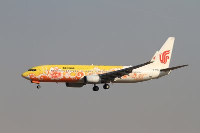 date：2010-02-19location：Beijing Capital Intl Airport - ZBAAairline：Air China - CCAregistration：B-5198aircraft：B737-800remark：Yello Peony Livery(黄牡丹号)